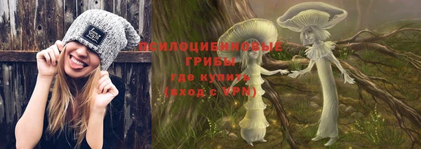 герыч Алексин