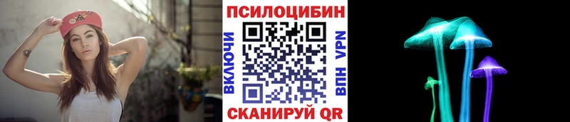 Псилоцибиновые грибы Magic Shrooms Купить Ершов